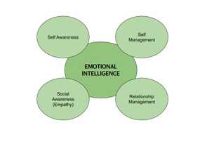 Emotional Intelligence | Daniel's Blog